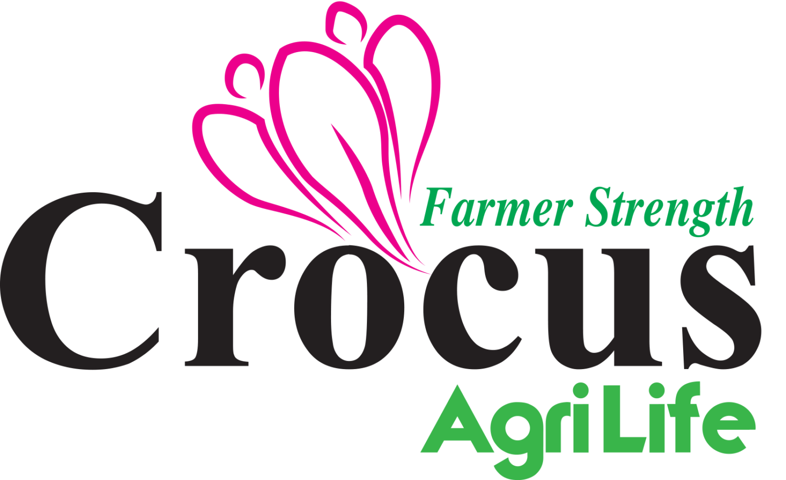 crocus-logo-1536x939